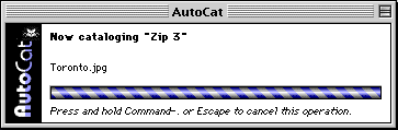 AutoCat Window